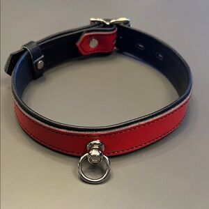 Red and Black Leather Collar